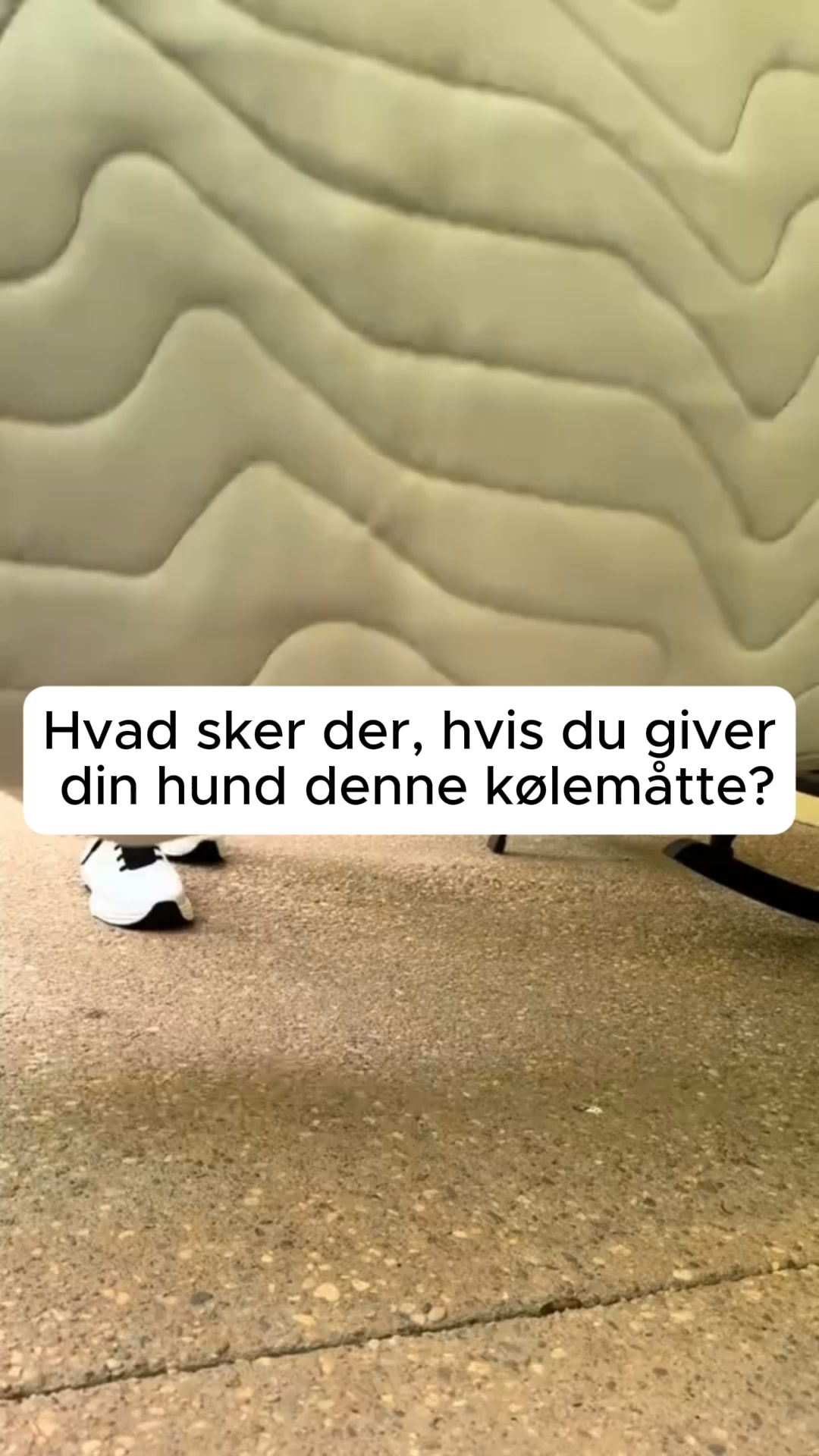 Prøv den i 30 dage – helt risikofrit