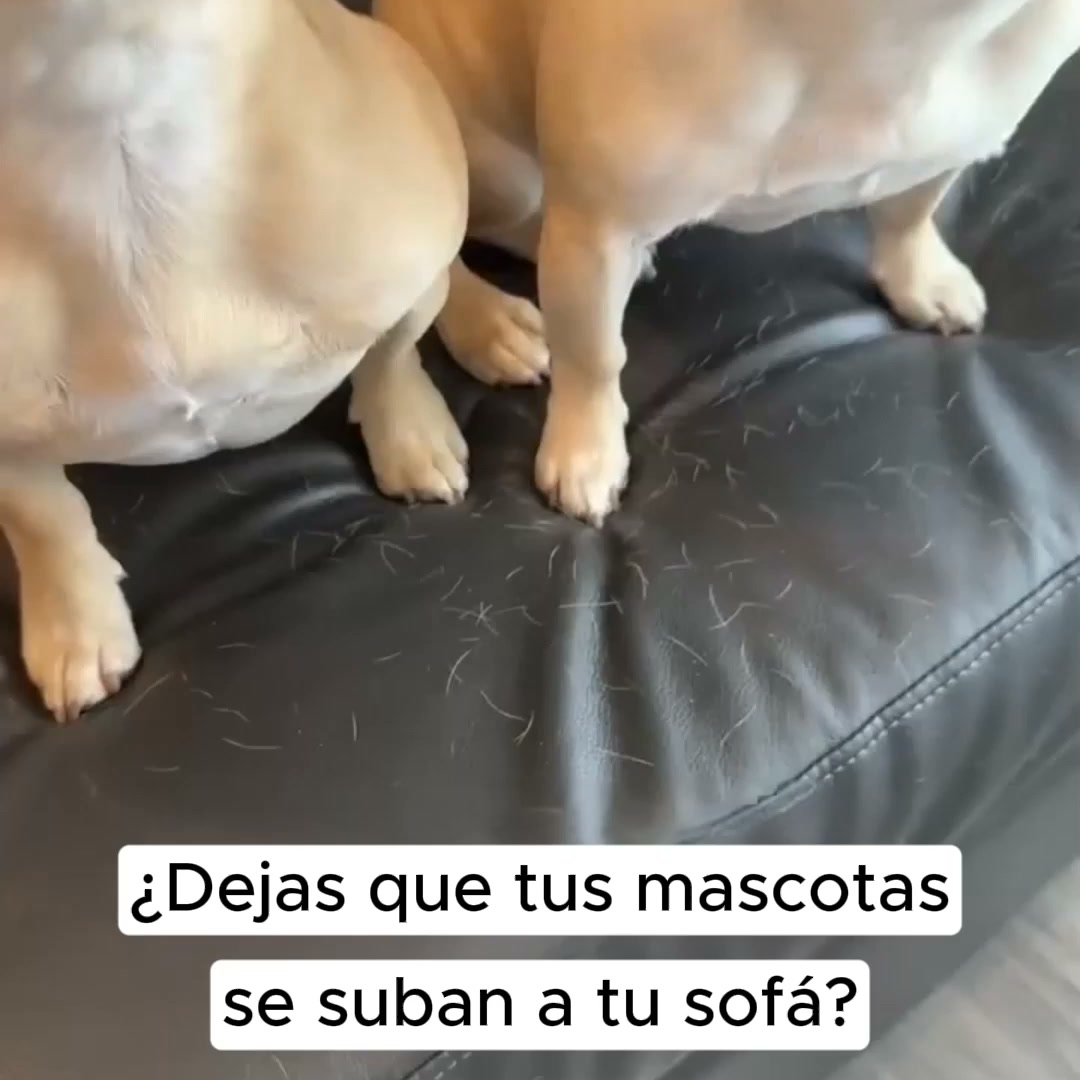 Hasta un 50% Dto