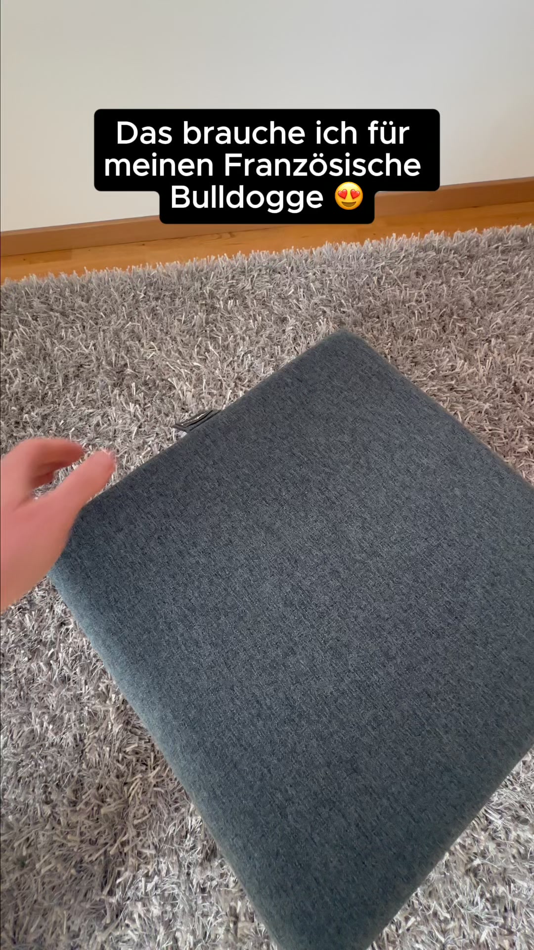 Von Tierärzten empfohlen