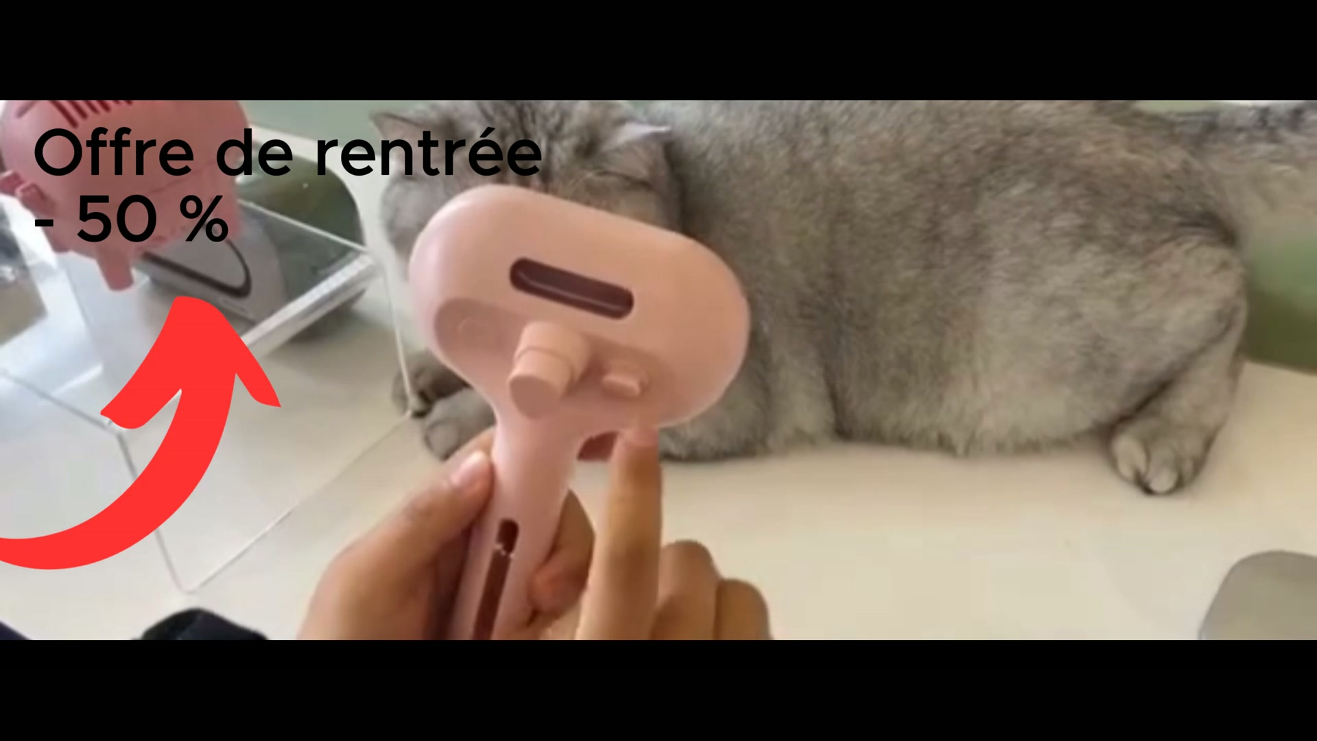 Brosse vapeur pour animaux – 3-en-1
