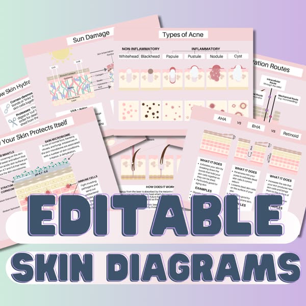 100+ Editable Skin Diagrams