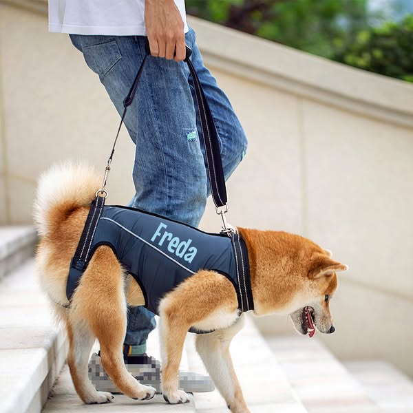 Personalized Adjustable Pet Lifting Harness