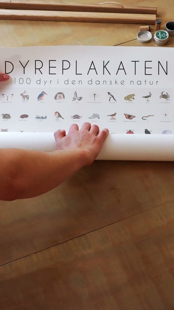 100 dyr fra Danmark - på én plakat