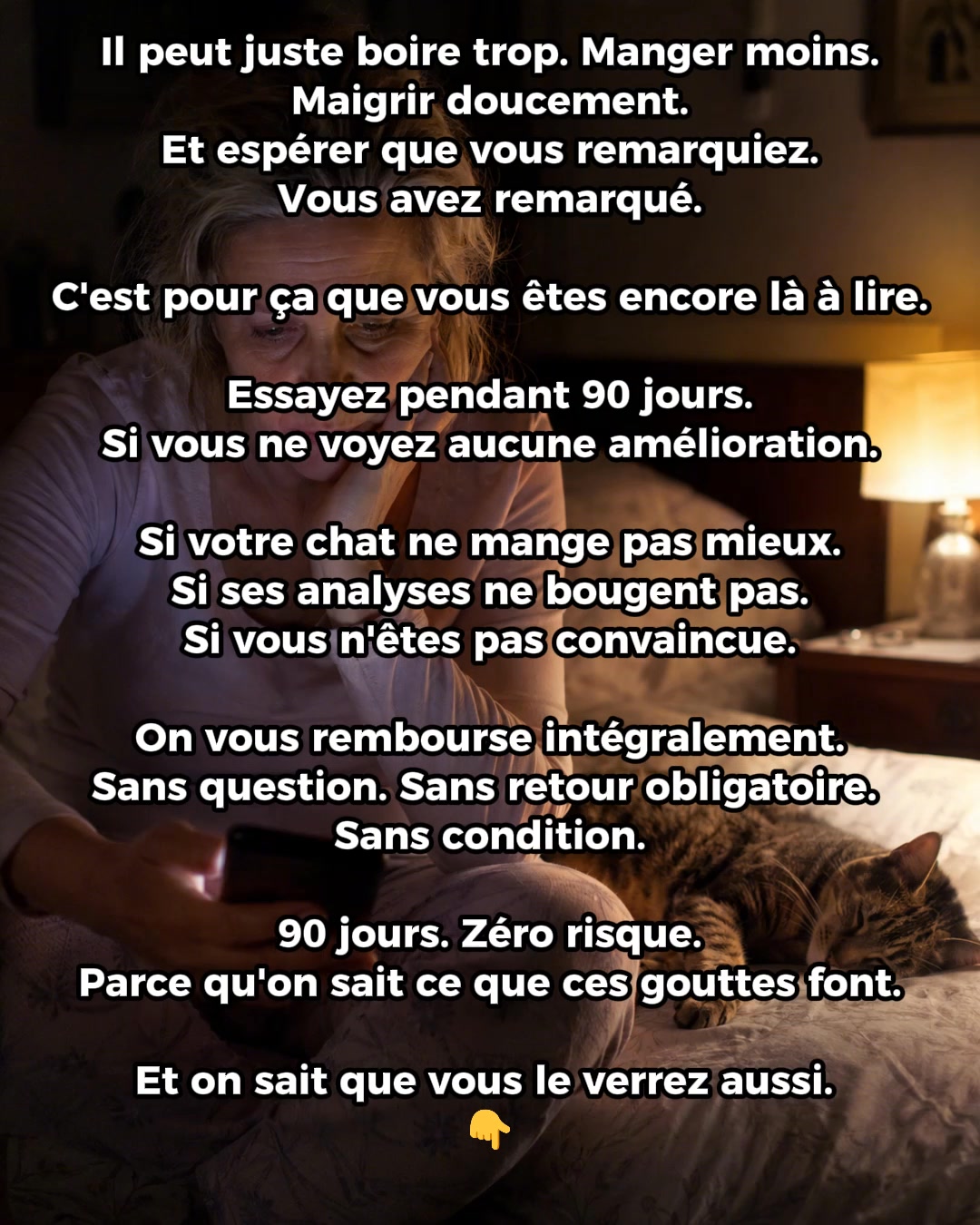 Protégez les reins de votre chat avant qu'il ne soit trop tard