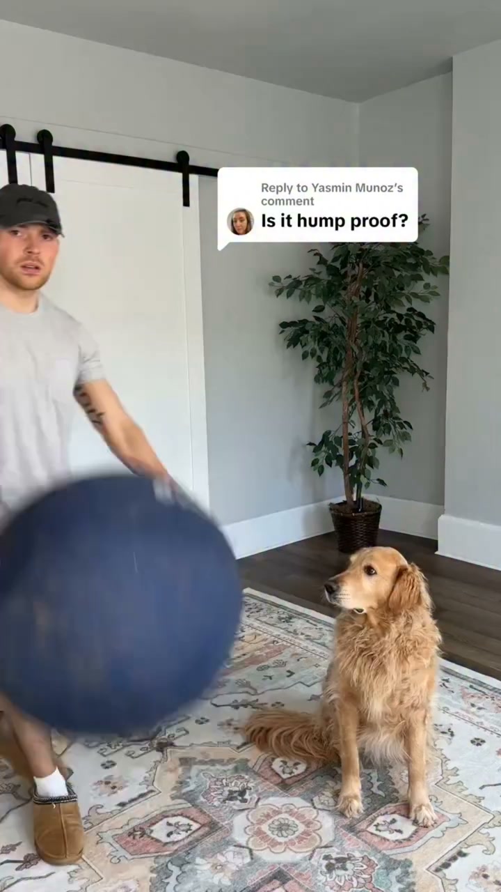 The last dog ball you'll ever buy.