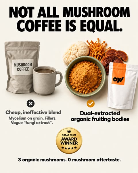 FREE V60 Brewer + FREE Shipping