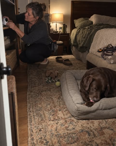 I’m a Dog Trainer. I Thought My Dog’s Nighttime Paw Licking Was Anxiety.