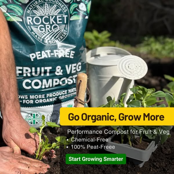 Boost Your Soil's Fertility