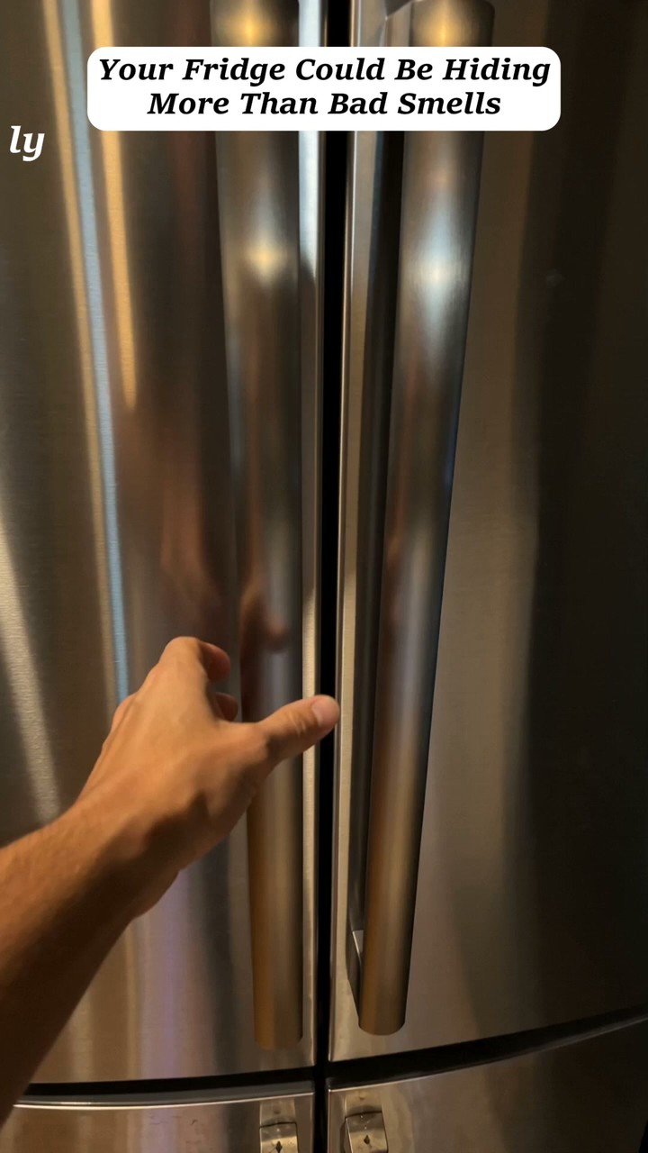 Quick-Refresh Refrigerator Deodorizing Spray