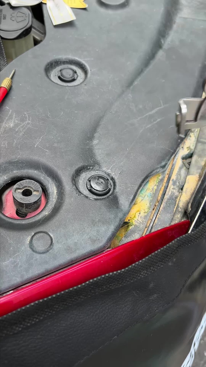 Stainless Steel Car Clip Removal Pliers