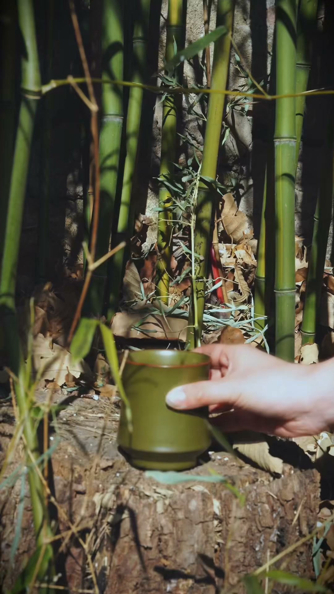 Three cups. One bamboo moment.
