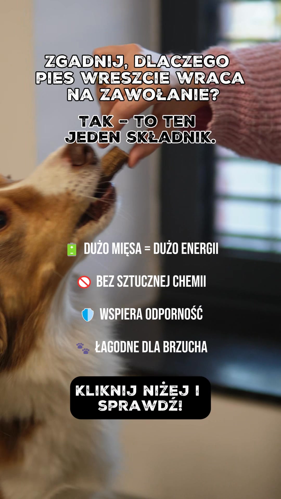15% rabatu na zamówienie