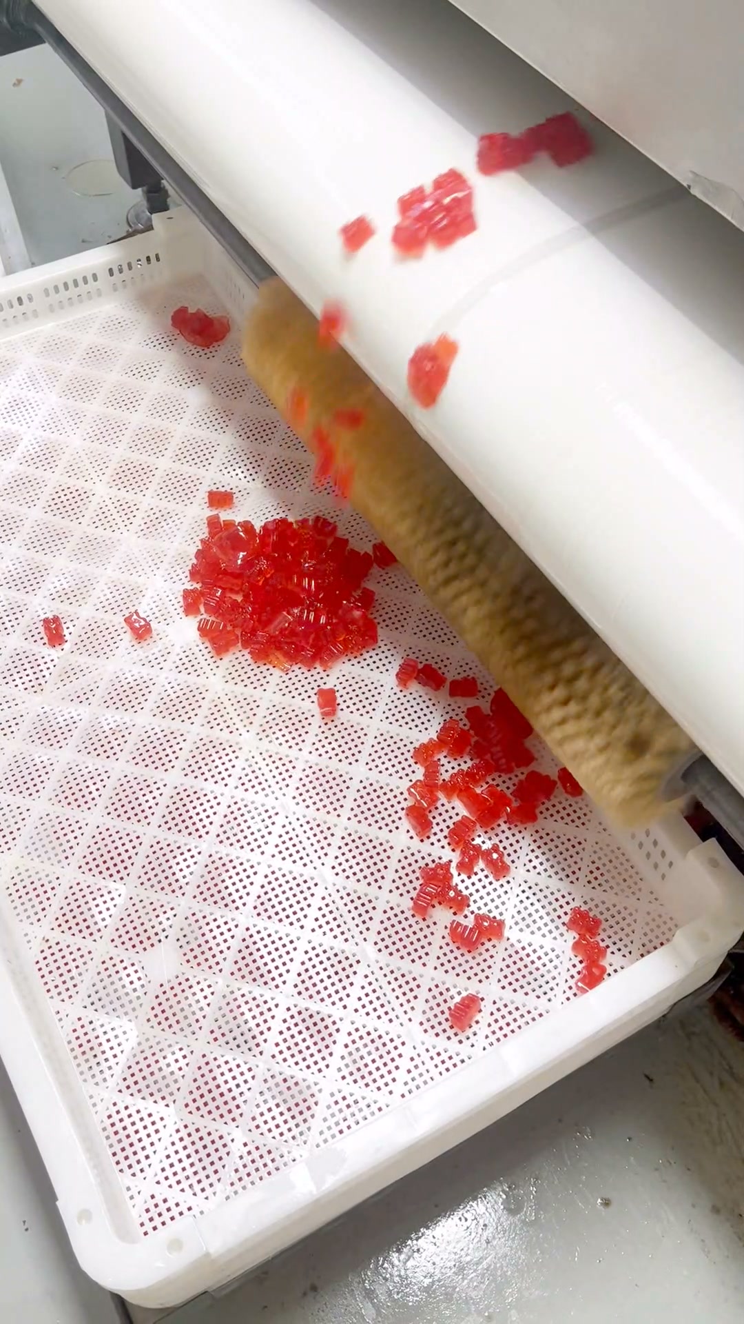Send us a message to discuss your gummy project now