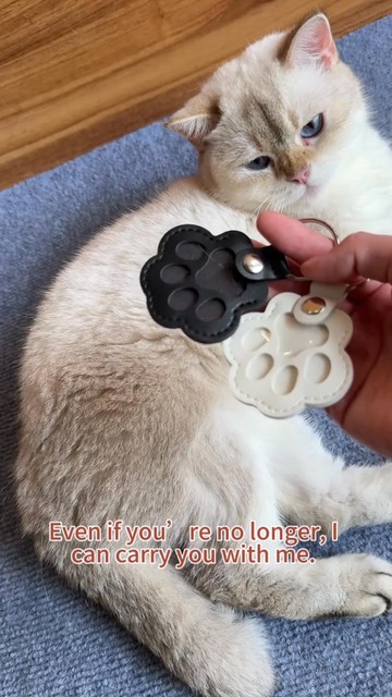 Pet Paw Shaped Leather Keychain