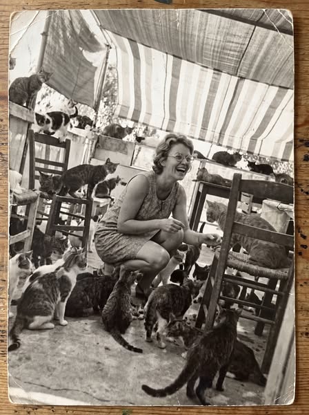 Your Cat Will Live To 20. Read…