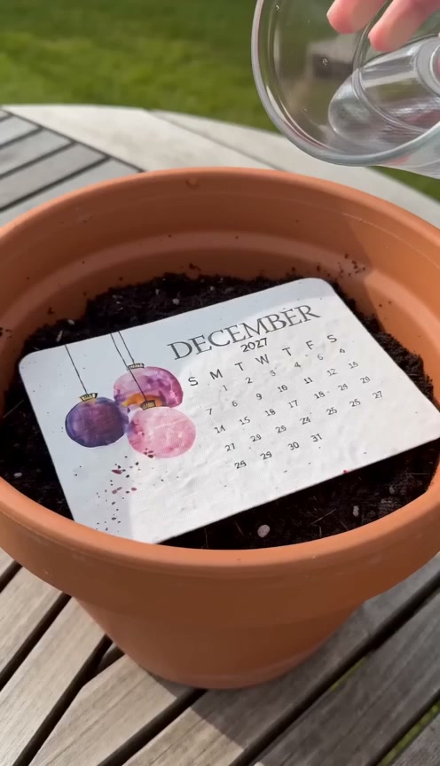 Eco-Friendly Plantable “Timeless” Seed Calendar 2027