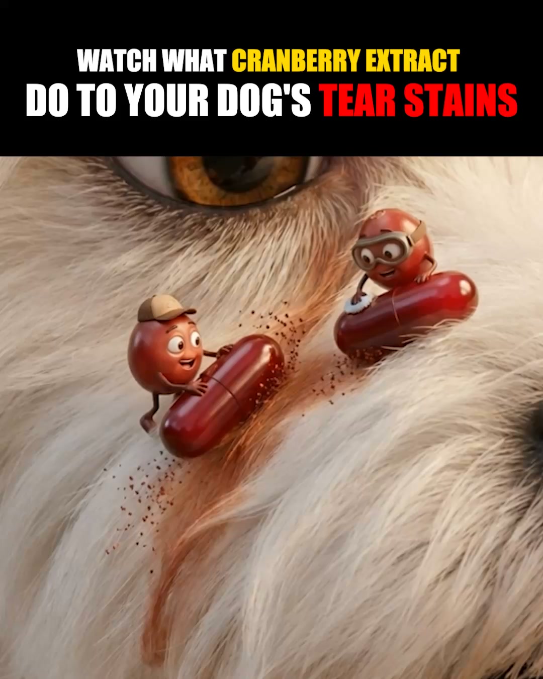 Lifts Bacteria, Doesn't Spread It