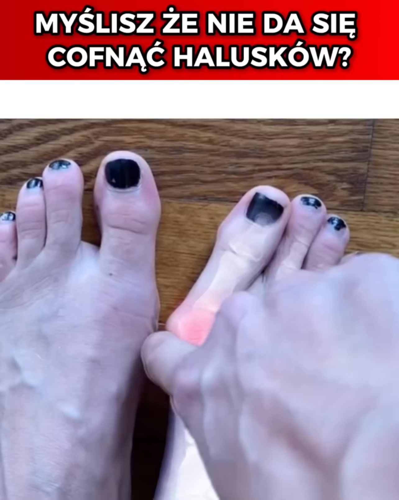 Podolodzy polecają!