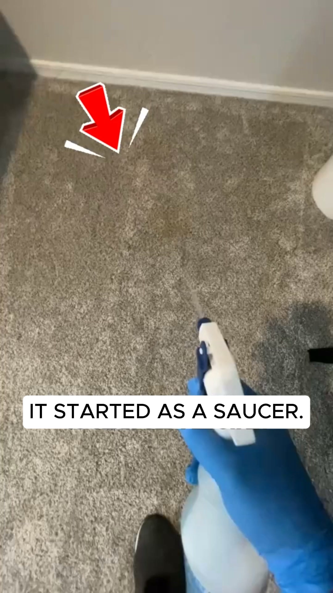 Nope... It's a New Carpet.