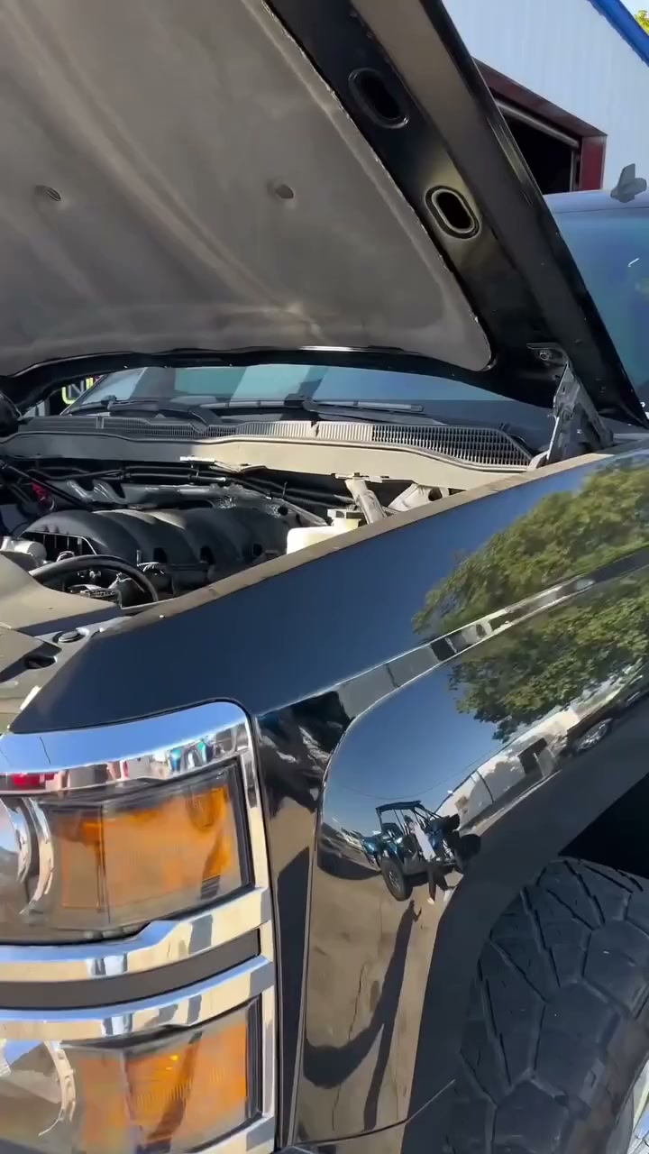 Protect Your Engine Before the Tick