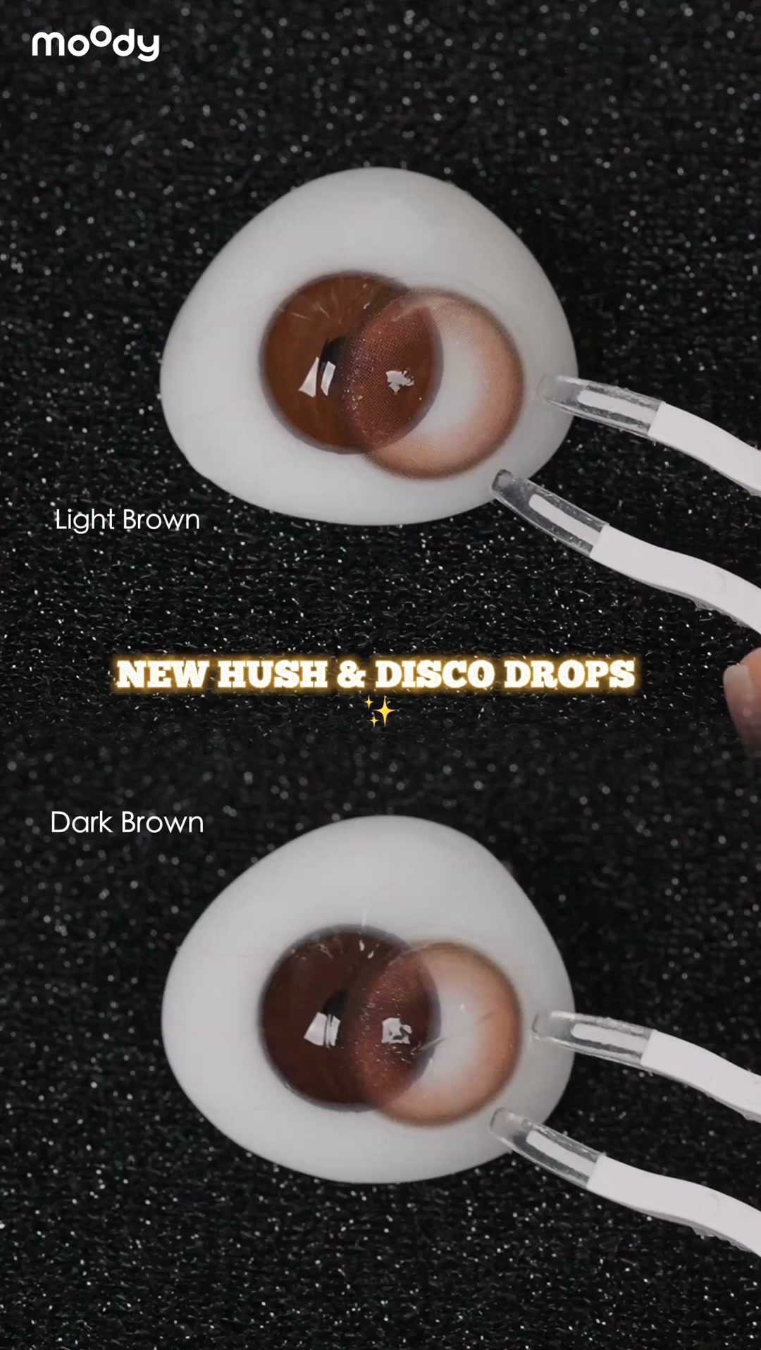 Meet Your New Shades