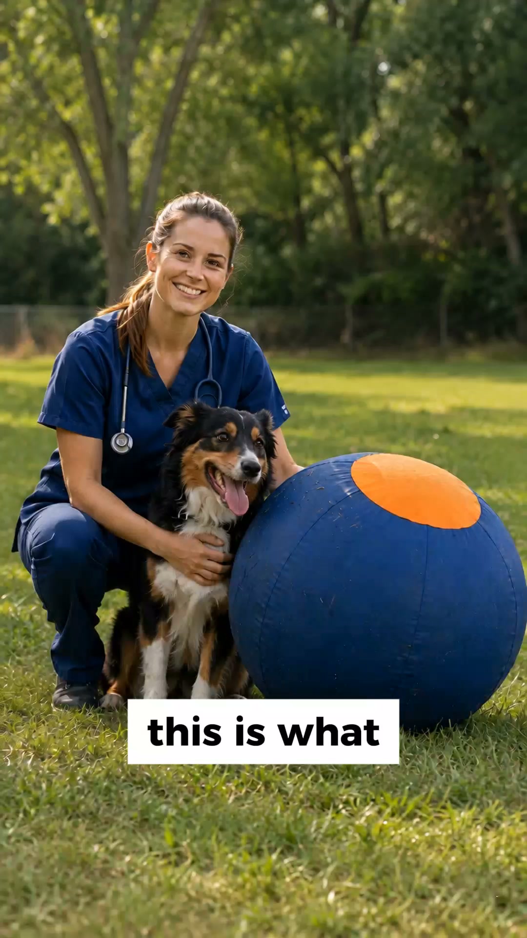 The One Thing Your Dog Actually Needs
