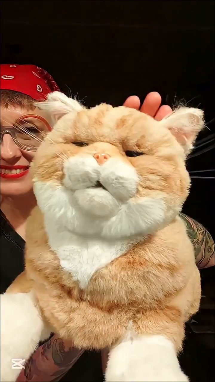 Meet MateCat Pro