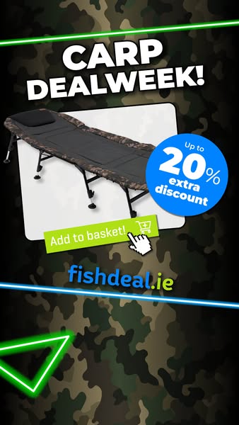 Carp promotion week — up to 20% off!