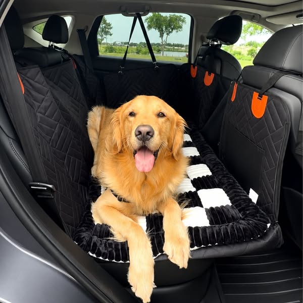 Clean car, Happy pup Guaranteed!