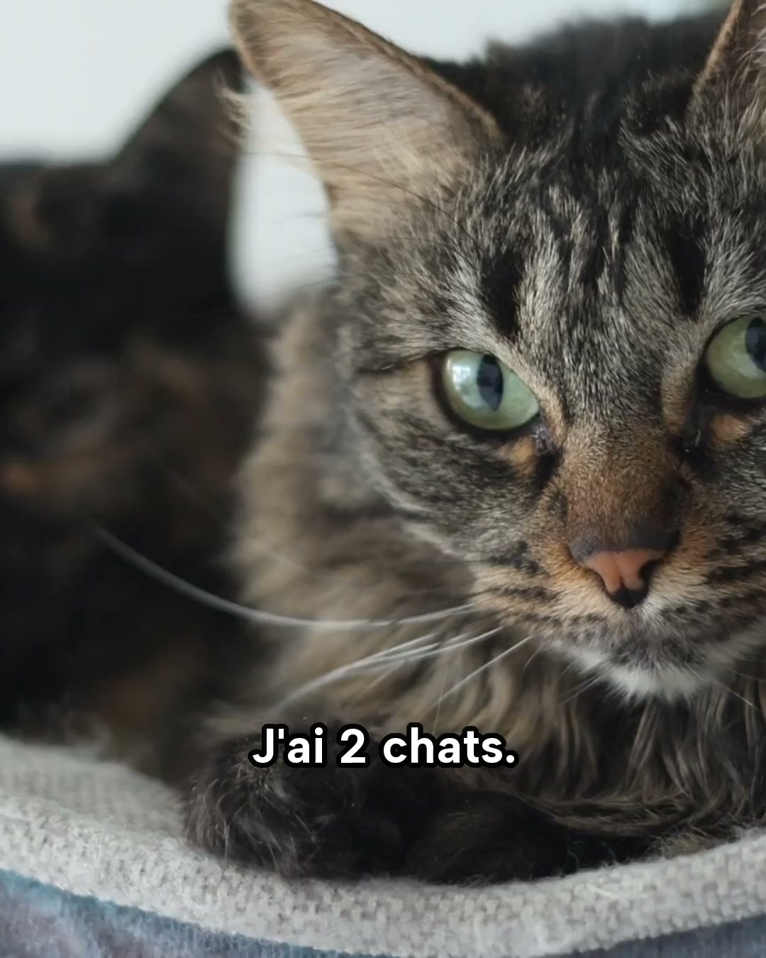 Soulage ses articulations
