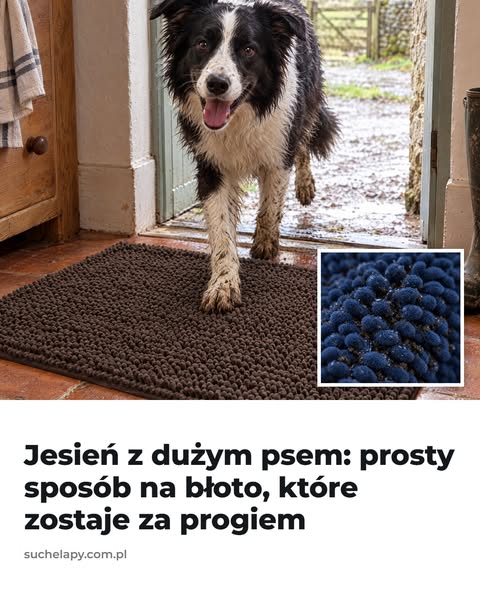 Trzeci dzień ulewy, a podłoga jak po myciu