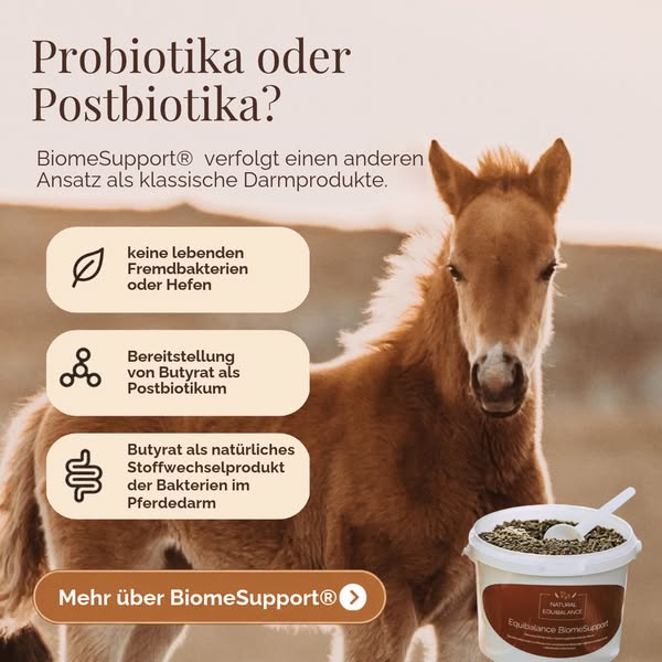 Jetzt den Unterschied entdecken