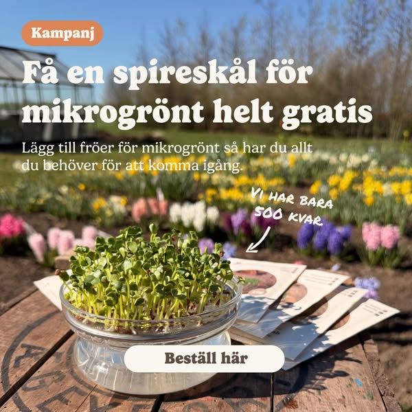 GRATIS ODLINGSSKÅL (ENDAST I AUGUSTI)