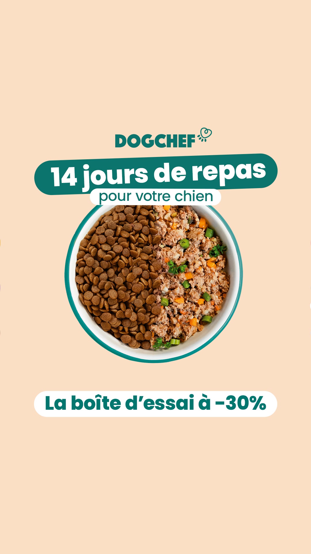 Offre limitée -30%