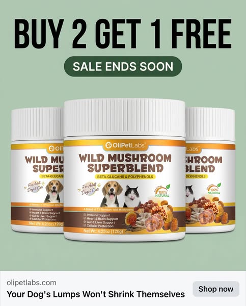 Stop trying to shrink lipomas the wrong way | Buy 2 Get 1 FREE