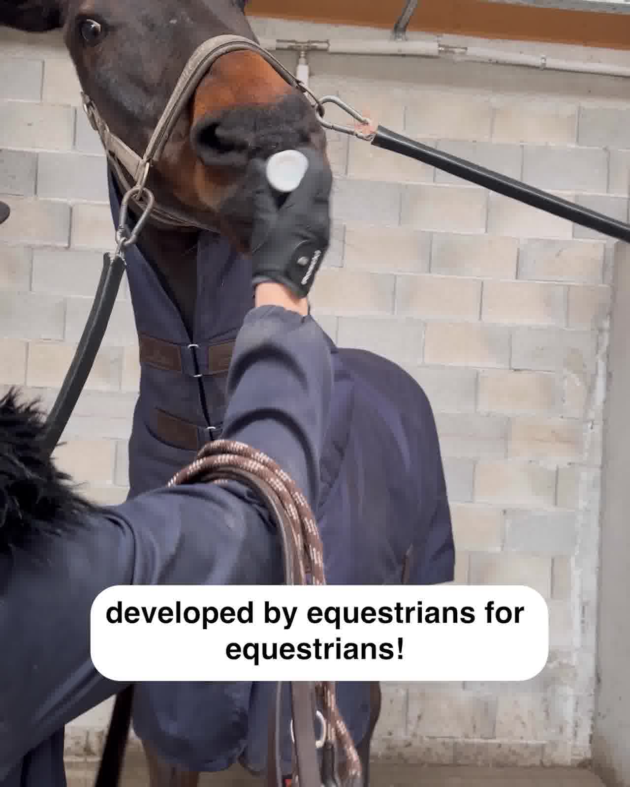 Calm horse = Smooth ride