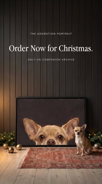 Order Early, Save 37%