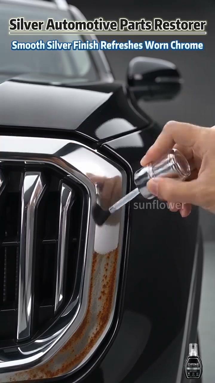 Professional Chrome Repair Pen