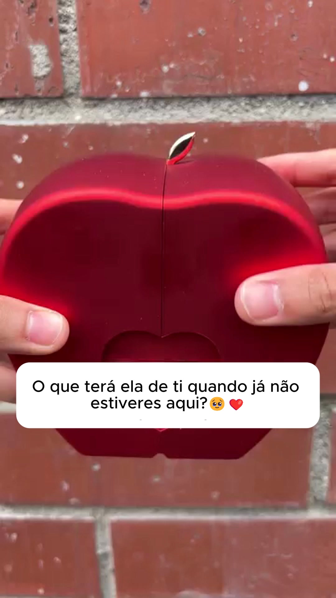 Isto fez a minha filha chorar de emoção