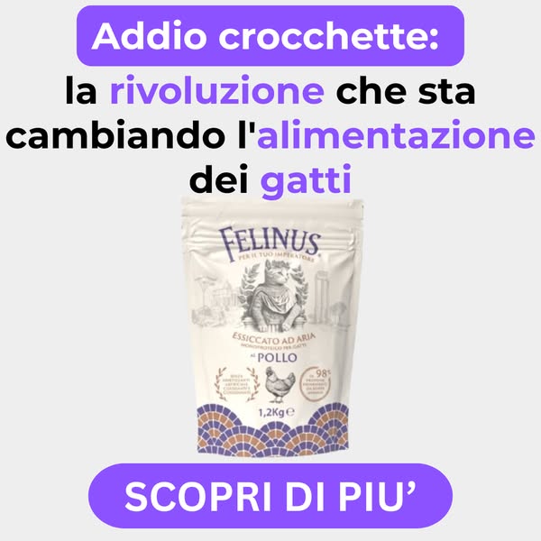 Cosa c'è DAVVERO nelle sue crocchette?