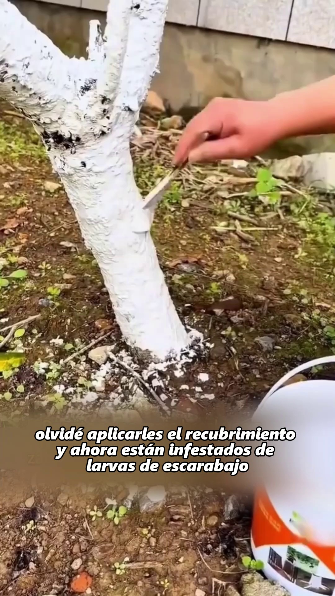 Envío gratisPago contra entrega