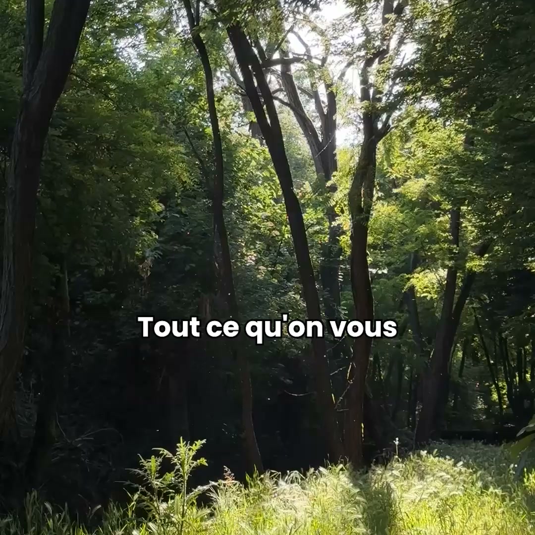 40% sur le Pack Découverte
