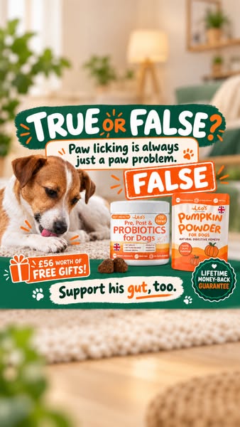 Try RISK FREE. Don't love it? We'll give you a refund.