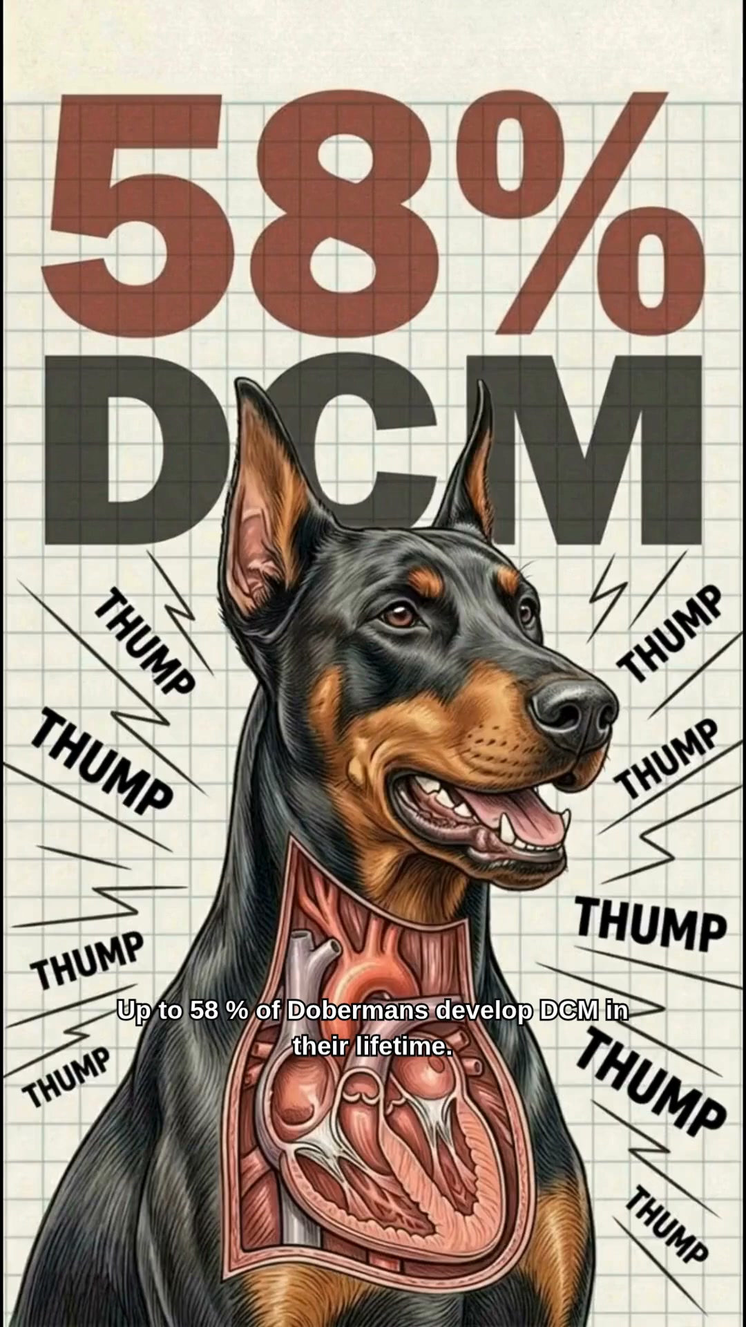 1 In 3 Dobermans Die From This With Zero Warning.