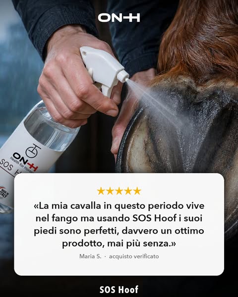 Lo dicono i clienti
