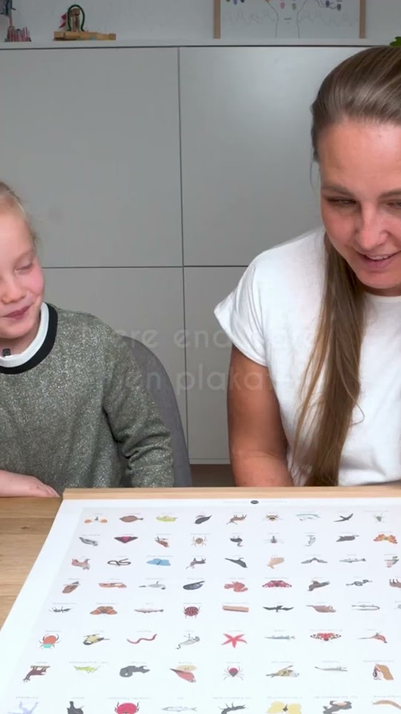 100 djur från Sverige - på en poster