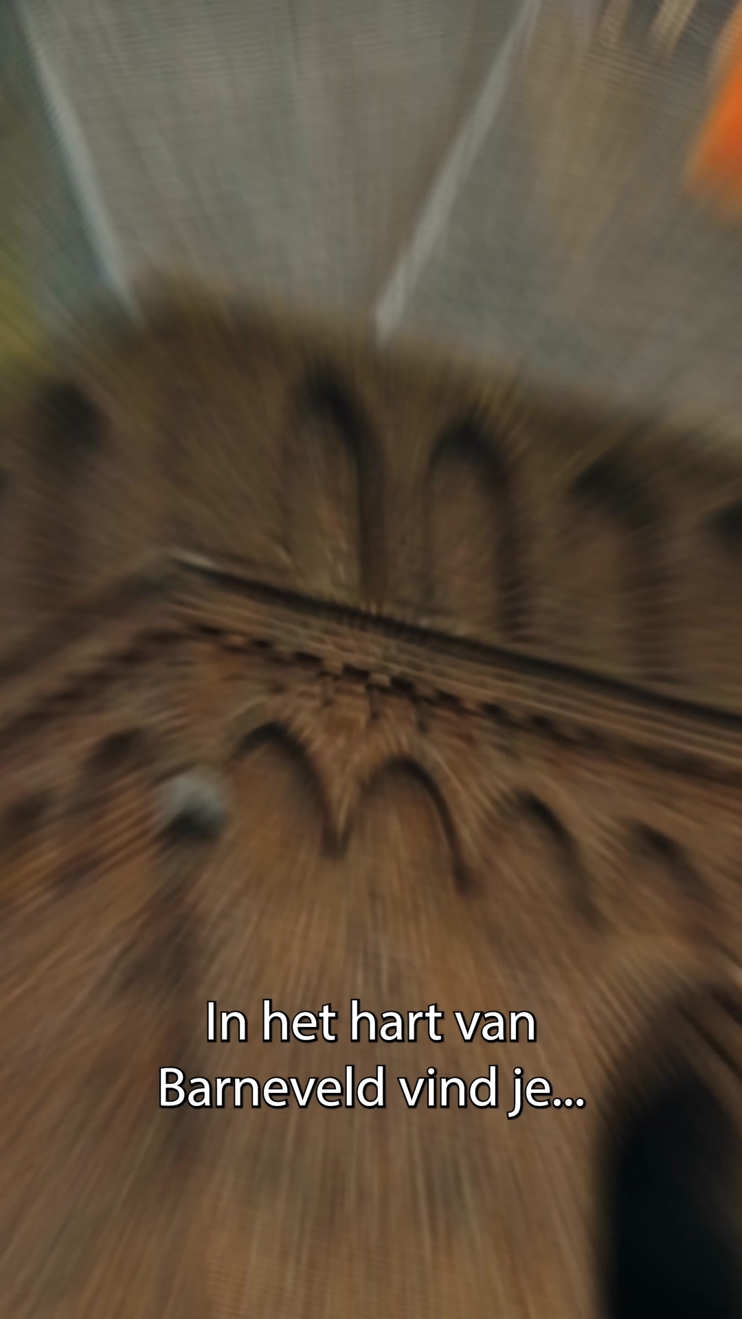 Bezoek ons in Barneveld