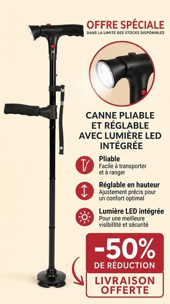 Pas juste une canne. Une solution complète