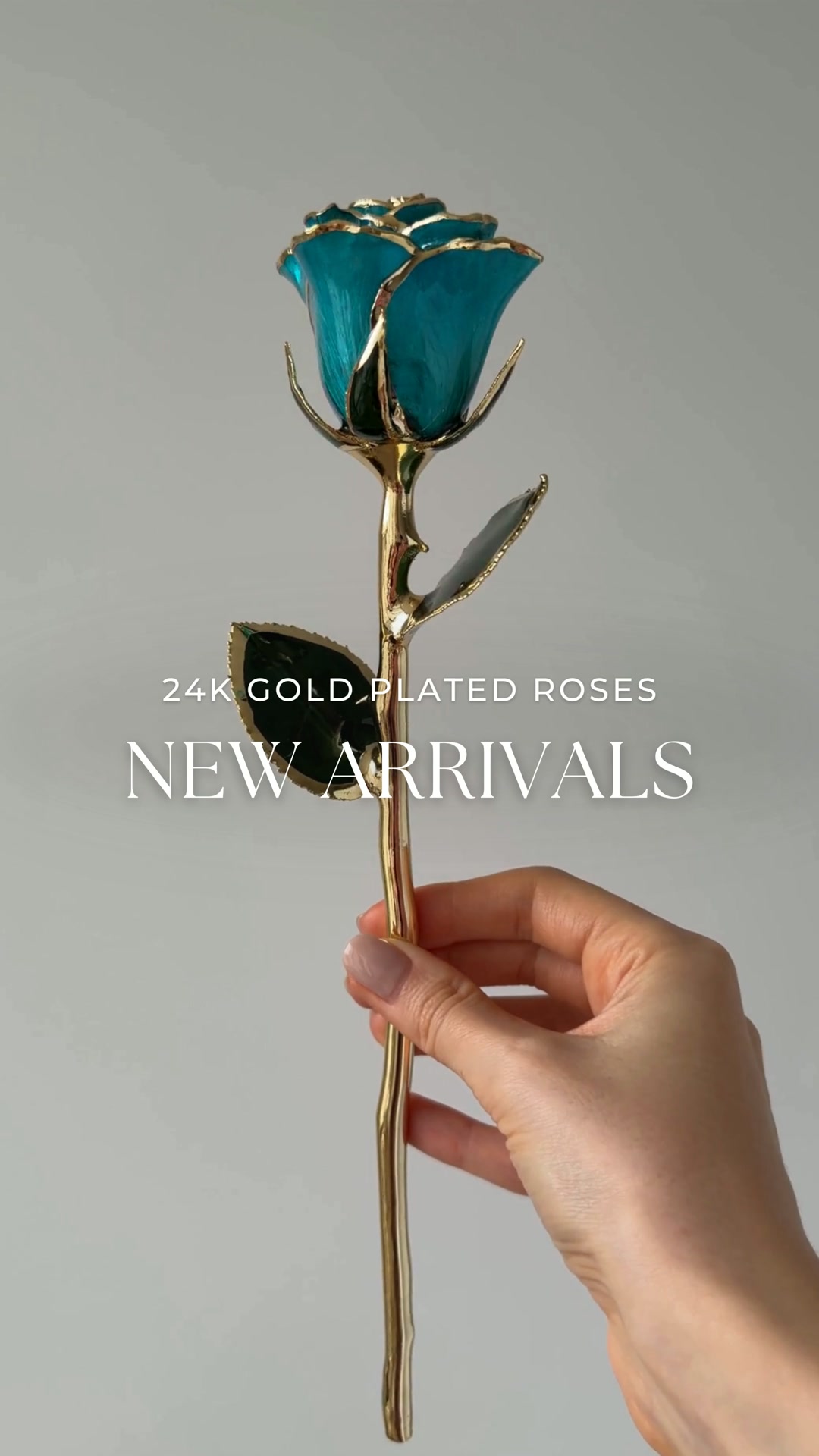 Our Newest Eternal Roses