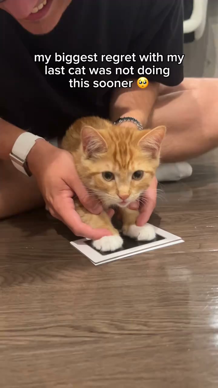 Save Their Little Paw Print!